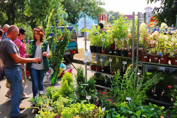 Фотография Фестиваль Мичуринского Яблока 22