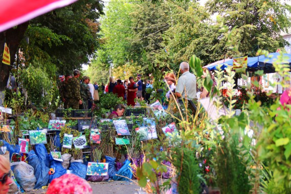 Фотография Фестиваль Мичуринского Яблока 14