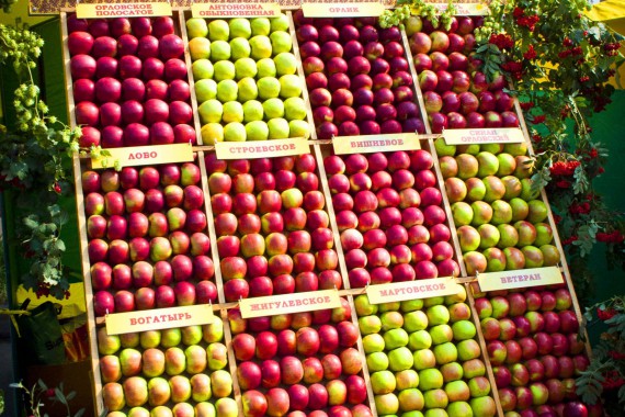 Фотография Фестиваль Мичуринского Яблока 2