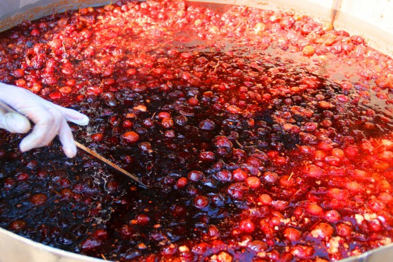 Фотография Фестиваль Мичуринского Яблока 21