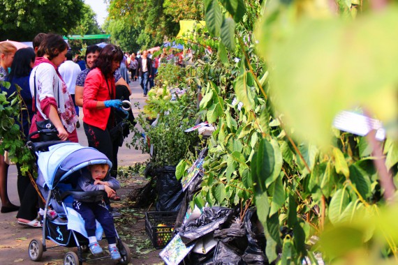 Фотография Фестиваль Мичуринского Яблока 15