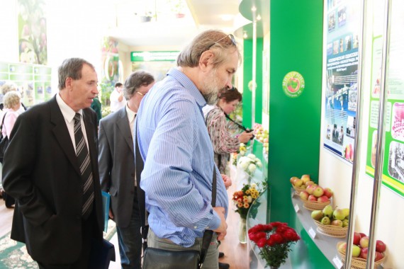 Фотография Фестиваль Мичуринского Яблока 34