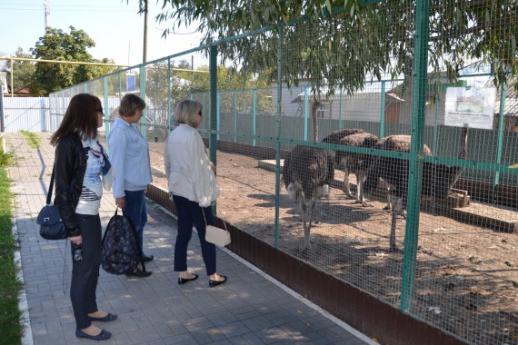 Фотография Центр туризма Чаплыгинского района 31