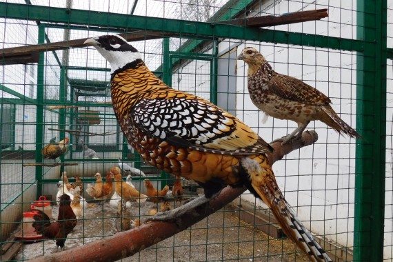 Фотография Центр туризма Чаплыгинского района 25