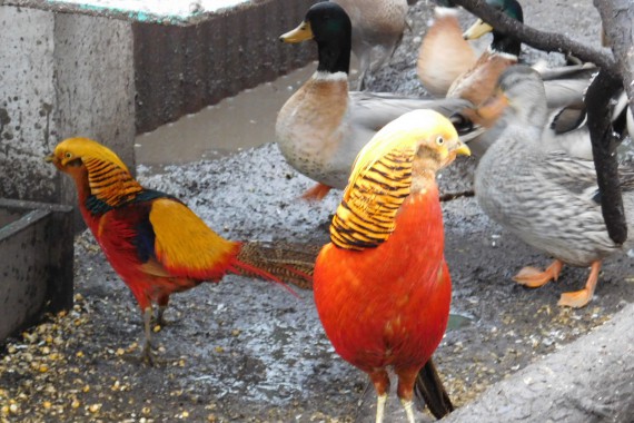 Фотография Центр туризма Чаплыгинского района 30