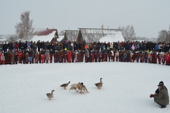 Фотография Праздник «Масленичные потехи с гусиными боями» 2