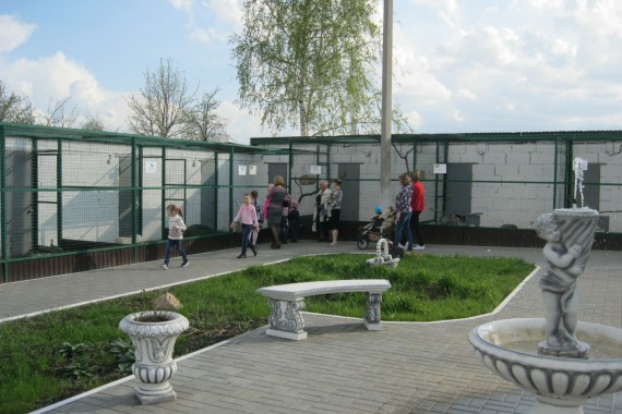 Фотография Центр туризма Чаплыгинского района 24