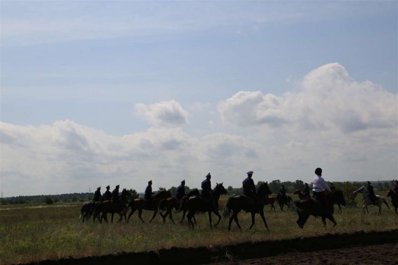 Фотография Фестиваль «Шолоховская весна» 2016 37
