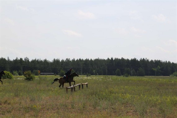 Фотография Фестиваль «Шолоховская весна» 2016 35