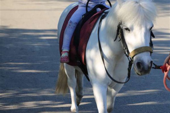 Фотография Фестиваль «Шолоховская весна» 2016 6