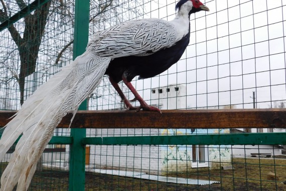 Фотография Центр туризма Чаплыгинского района 28