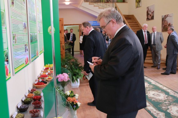 Фотография Фестиваль Мичуринского Яблока 37