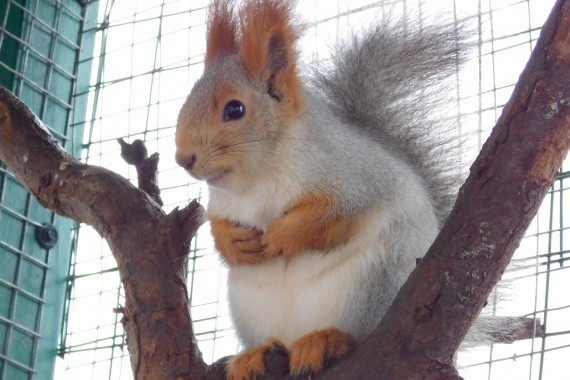 Фотография Центр туризма Чаплыгинского района 32