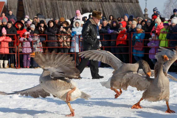 Фотография Праздник «Масленичные потехи с гусиными боями» 12