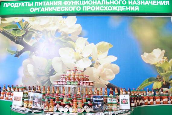 Фотография Фестиваль Мичуринского Яблока 32