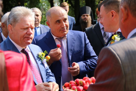 Фотография Фестиваль Мичуринского Яблока 35