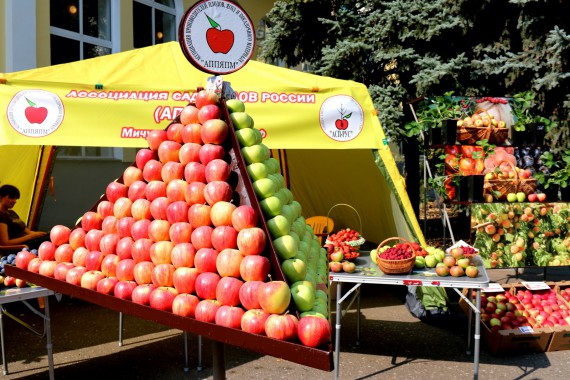Фотография Фестиваль Мичуринского Яблока 48