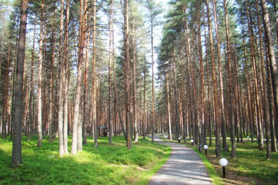 Фотография Клиника «Кивач» 4