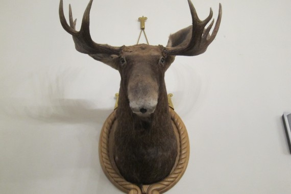 Фотография Несвижский замок 20