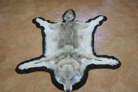 Фотография Мирский замок 24