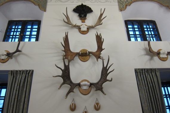 Фотография Несвижский замок 17