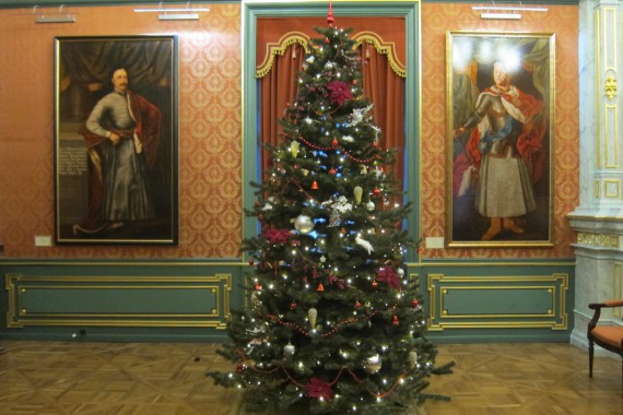 Фотография Несвижский замок 13