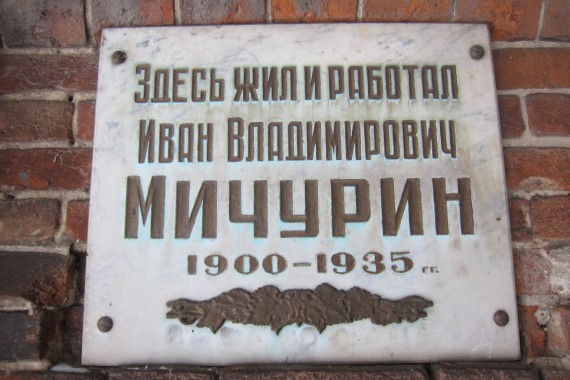 Фотография Дом-музей И.В.Мичурина 15