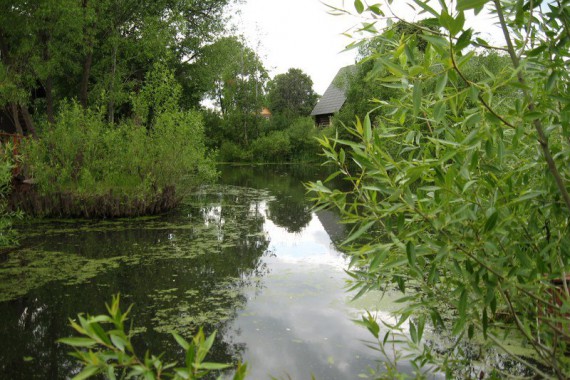 Фотография База отдыха в д.Семеновское 15