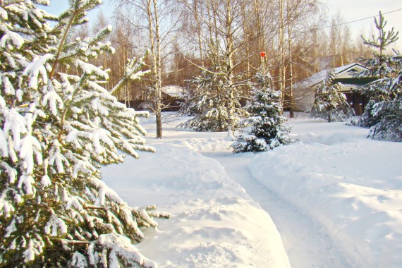 Фотография Гостевой дом в Рогачево 32