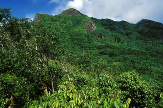 Фотография Национальный парк Морн 0