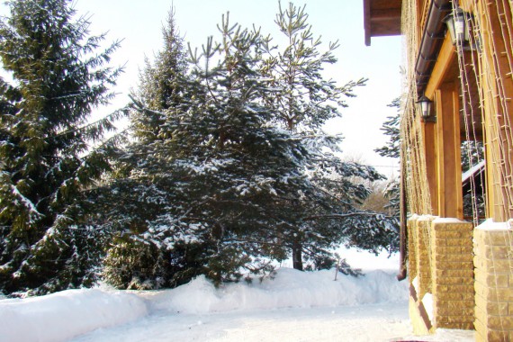 Фотография Гостевой дом в Рогачево 33