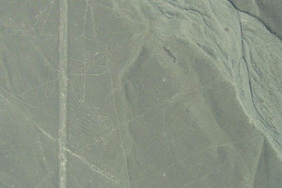 Фотография Линии Наски 7