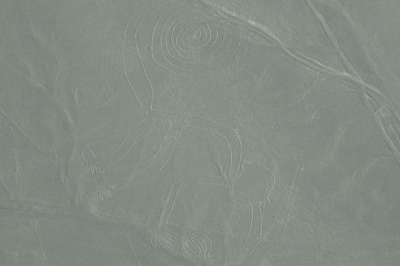 Фотография Линии Наски 0