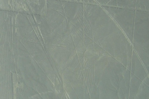 Фотография Линии Наски 2