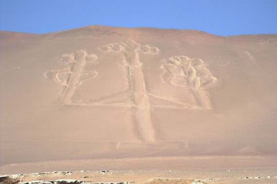 Фотография Андский канделябр 0