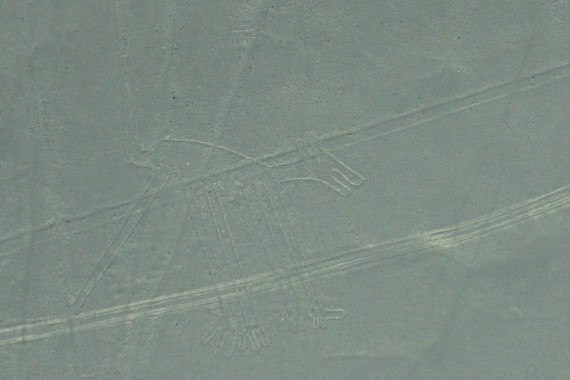 Фотография Линии Наски 3