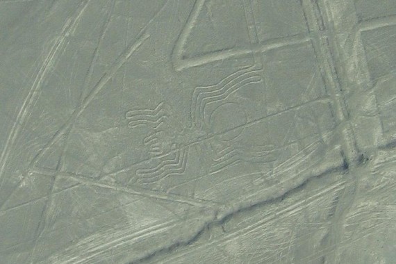 Фотография Линии Наски 5