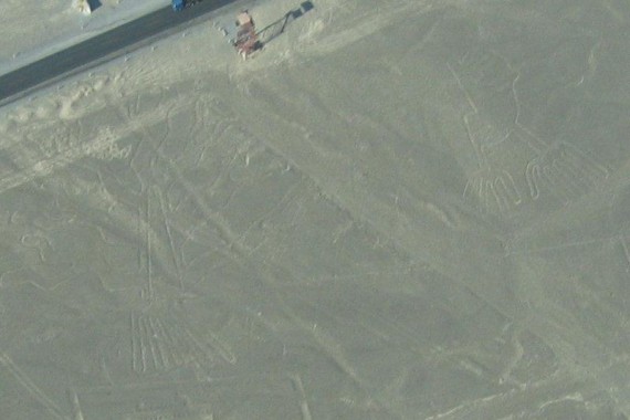 Фотография Линии Наски 6