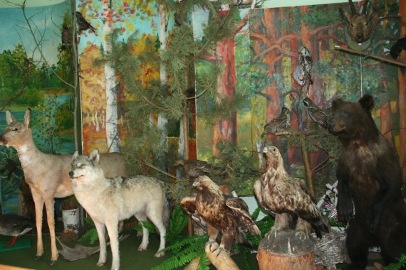 Фотография Краеведческий музей 1