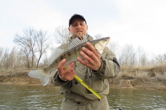 Фотография Турнир «Золотой спиннинг Ахтубы» 2