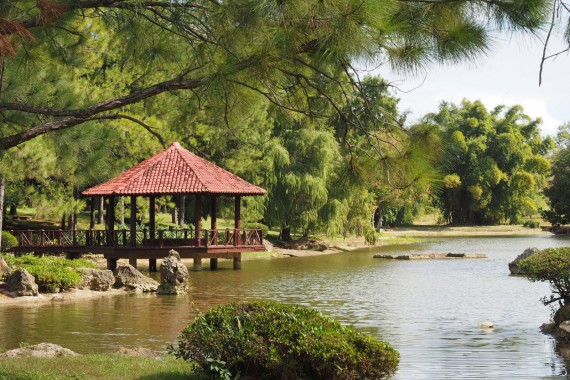 Фотография Национальный ботанический сад 0