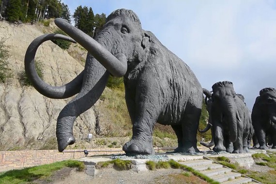 Фотография Археопарк 0