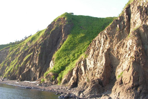 Фотография Заповедник «Поронайский» 0