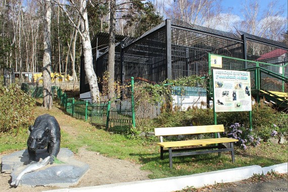 Фотография Сахалинский зоопарк 0