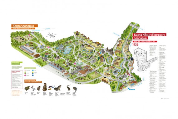 Фотография Зоопарк 13