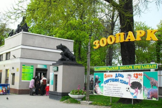 Фотография Зоопарк 0