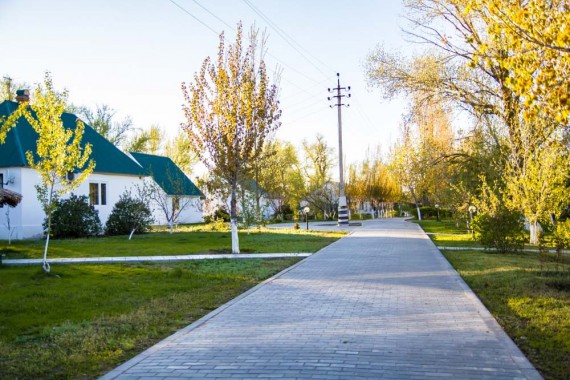 Фотография База отдыха «Ахтуба» 0