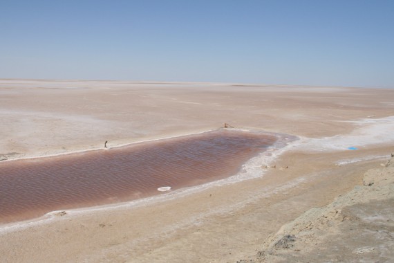 Фотография Солончак Шотт-эль-Джерид 7