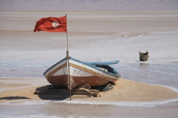 Фотография Солончак Шотт-эль-Джерид 3