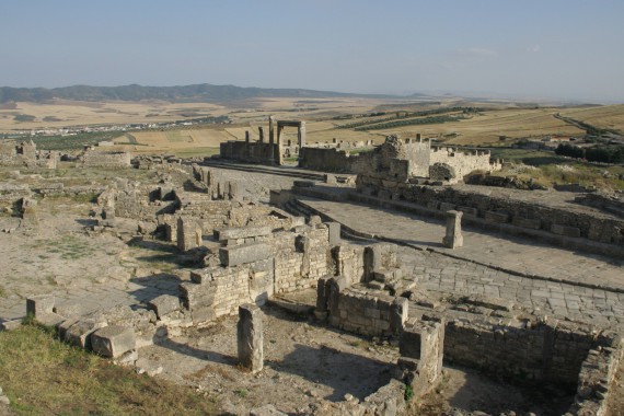 Фотография Дугга 11